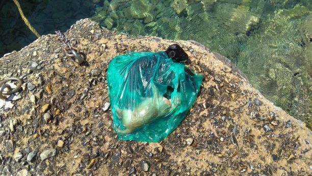 Σύρος: Έκλεισε τρία κουτάβια σε σακούλα και τα έπνιξε στη θάλασσα