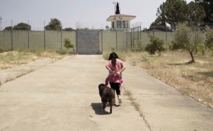 Κρατούμενες εκπαιδεύουν αδέσποτα σκυλιά φροντίζοντας τα στις φυλακές Ελεώνα Θήβας με τη βοήθεια του Save a Greek Stray