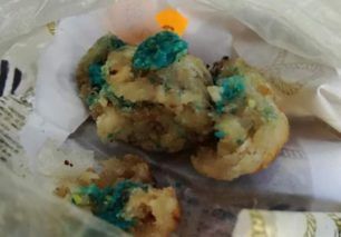 Με φόλες ψάρια δηλητηρίασε ζώα στην Πετρούπολη Αττικής