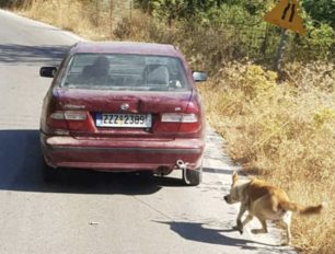 Ρέθυμνο Κρήτης: Εντοπίστηκε οδηγός που έδεσε σκύλο στον προφυλακτήρα Ι.Χ. και «μετέφερε» έτσι το ζώο
