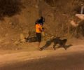 Ρόδος: Αναζητούν τον άνδρα που κλωτσούσε αλύπητα τον σκύλο του στο κεφάλι στο Κιοτάρι