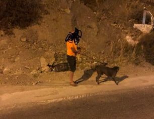Ρόδος: Αναζητούν τον άνδρα που κλωτσούσε αλύπητα τον σκύλο του στο κεφάλι στο Κιοτάρι