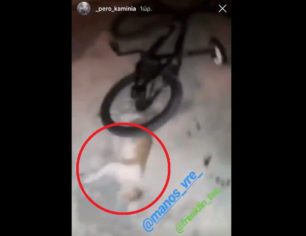 Ανέβασε βίντεο στο instagram με αγόρι που πατάει με το ποδήλατο πτώμα γάτας