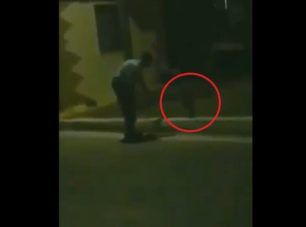 Σμηνίτης στο Ζούμπερι Αττικής κλώτσησε γάτα και δημοσίευσε το βίντεο στο instagram για να γελάσουμε
