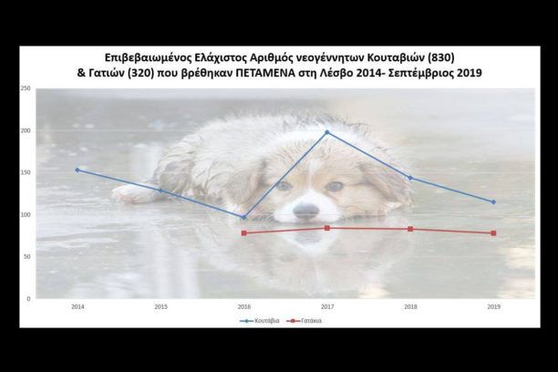 Λέσβος: Τουλάχιστον 190 σκυλάκια & γατάκια βρέθηκαν πεταμένα φέτος