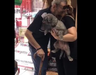 Η συγκινητική στιγμή της επανένωσης σκύλου με τον κηδεμόνα του στον Πειραιά (βίντεο)