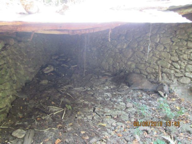 Η Διεύθυνση Δασών Λέσβου άφησε ατιμώρητο τον άνδρα που κακοποιεί και σκοτώνει ζώα στην Αγιάσο