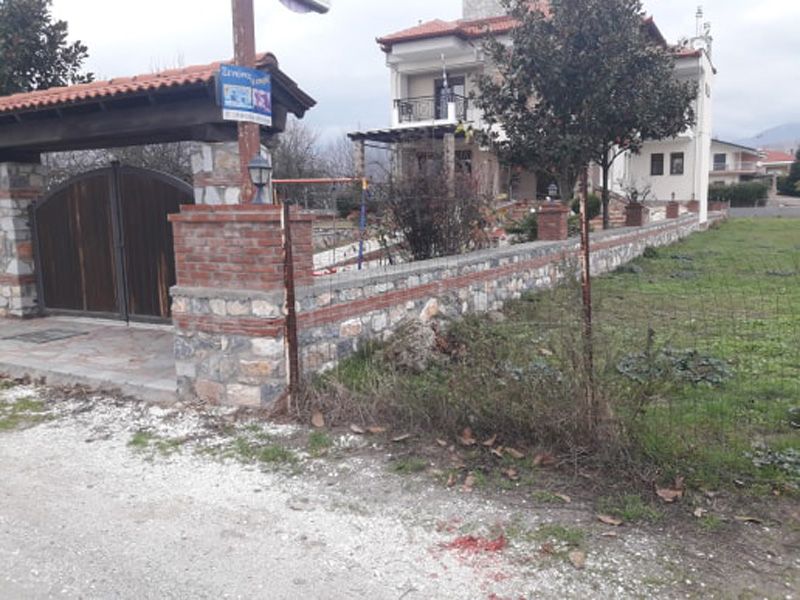 Πυροβόλησε και σκότωσε σκύλο στην Άρνισσα Πέλλας 1 ArnissaPyrovolimenosSkylos 17 11 2019 2