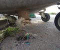Έσωσαν γάτα που παγιδεύτηκε σε κάδο σκουπιδιών στα Γιαννιτσά Πέλλας (βίντεο)