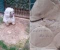 Κορωπί Αττικής: Εγκατέλειψε τον σκύλο τους με σημείωμα που αναφέρει «δεν το θέλουμε άλλο» (βίντεο)