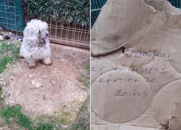 Κορωπί Αττικής: Εγκατέλειψε τον σκύλο τους με σημείωμα που αναφέρει «δεν το θέλουμε άλλο» (βίντεο)