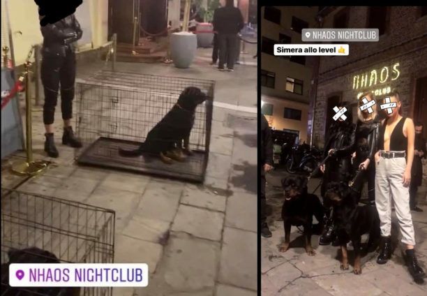 Ζωντανά σκυλιά σε κλουβιά ως διακόσμηση στην είσοδο του «Nhaos Nigthclub» στα Λαδάδικα Θεσσαλονίκης