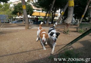 Δύο πάρκα σκύλων θα δημιουργηθούν στη Νέα Σμύρνη Αττικής