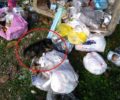 Λιτόχωρο Πιερίας: Βρήκε κουταβάκι ζωντανό πεταμένο στα σκουπίδια να ουρλιάζει (βίντεο)