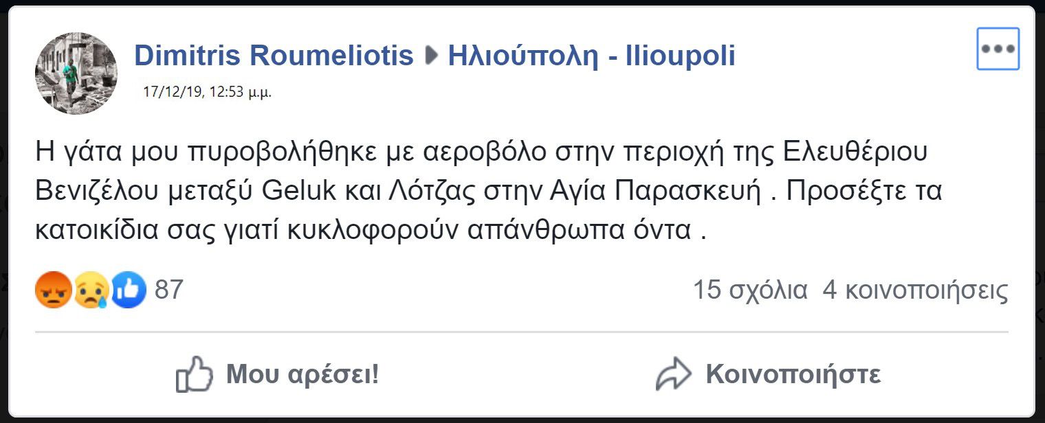 Δολοφονίες γατιών με αεροβόλο στην Ηλιούπολη Αττικής 1 IlioupoliDimitrisRoumeliotisPyrovolimeniGata