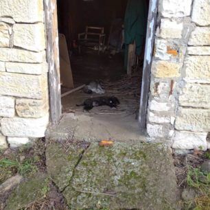 MetaxadesEvrouKoutavia 1