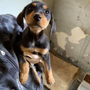 MetaxadesEvrouKoutavia 4