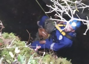Έσωσαν σκύλο που έπεσε σε φυσικό πηγάδι και εγκλωβίστηκε σε βάθος 20 μέτρων στη Βαλανιδούσσα Πρέβεζας
