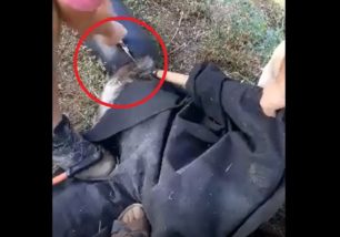 Βαρικό Φλώρινας: Έσωσαν αρκουδάκι που σφήνωσε με το κεφάλι σε δοχείο (βίντεο)