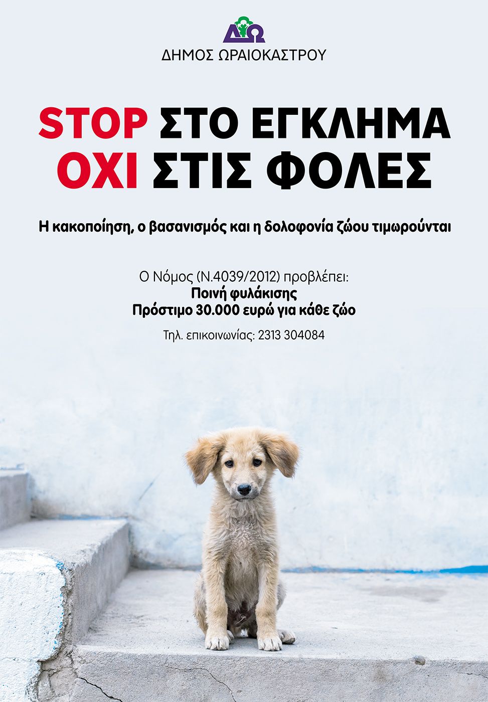 Καμπάνια ευαισθητοποίησης για την προστασία των ζώων από τον Δήμο Ωραιοκάστρου 1 AfisaOraiokastroFoles