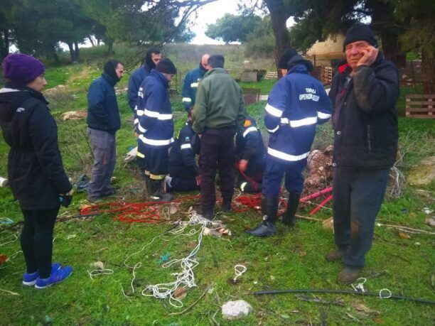 Έσωσαν αρνάκι που έπεσε σε τρύπα γεώτρησης βάθους 15 μέτρων στον Διόνυσο Αττικής