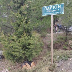 IppokrateiosPoliteiaParnithaSkylos5 1 2019 1