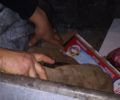 Βρήκε κουτάβια ζωντανά μέσα σε τσουβάλι πεταμένα σε κάδο στην Καλαμάτα Μεσσηνίας