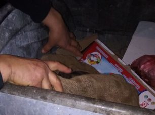 Βρήκε κουτάβια ζωντανά μέσα σε τσουβάλι πεταμένα σε κάδο στην Καλαμάτα Μεσσηνίας