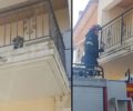 Κολίρι Ηλείας: Κατήγγειλαν τη γυναίκα που εγκατέλειψε τον άρρωστο σκύλο της στο μπαλκόνι χωρίς τροφή και νερό