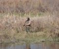 Ασύδοτοι κυνηγοί σκοτώνουν ό,τι πετάει σε Αμβρακικό, Λούρο και άλλες περιοχές της Άρτας και της Πρέβεζας
