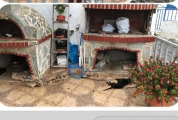 Θα γίνει καταγγελία για την κακοποίηση μέχρι θανάτου οικόσιτου σκύλου στη Μήλο;