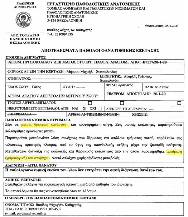 Με χειρουργικό τρόπο αφαιρέθηκε από τη νεκρή γάτα του αντιδημάρχου Θεσσαλονίκης δέρμα, στομάχι και σπλάχνα 3 PanoramaNekropsiaAvarlis