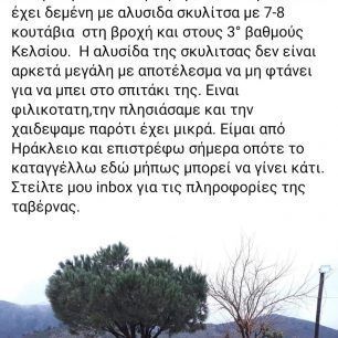 XaniaTavernaSkylitsa18 1 2020 1