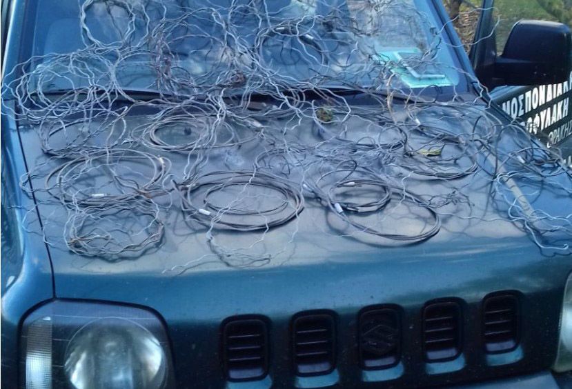 Ημαθία: Κυνηγοί παραδέχτηκαν ότι έβαλαν 52 συρμάτινες θηλιές για να βασανίσουν αγριογούρουνα