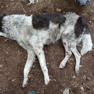 KavalaSkylos11 2 2020 9