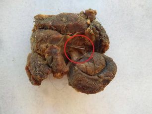 Λουτρό Αιτωλοακαρνανίας: Κρέας με καρφίτσες η φόλα που βρέθηκε σε αυλή σπιτιού