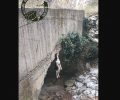 O πρόεδρος της Μονής Νάξου καταδικάζει τον απαγχονισμό σκύλου που βρέθηκε κρεμασμένος σε γεφυράκι