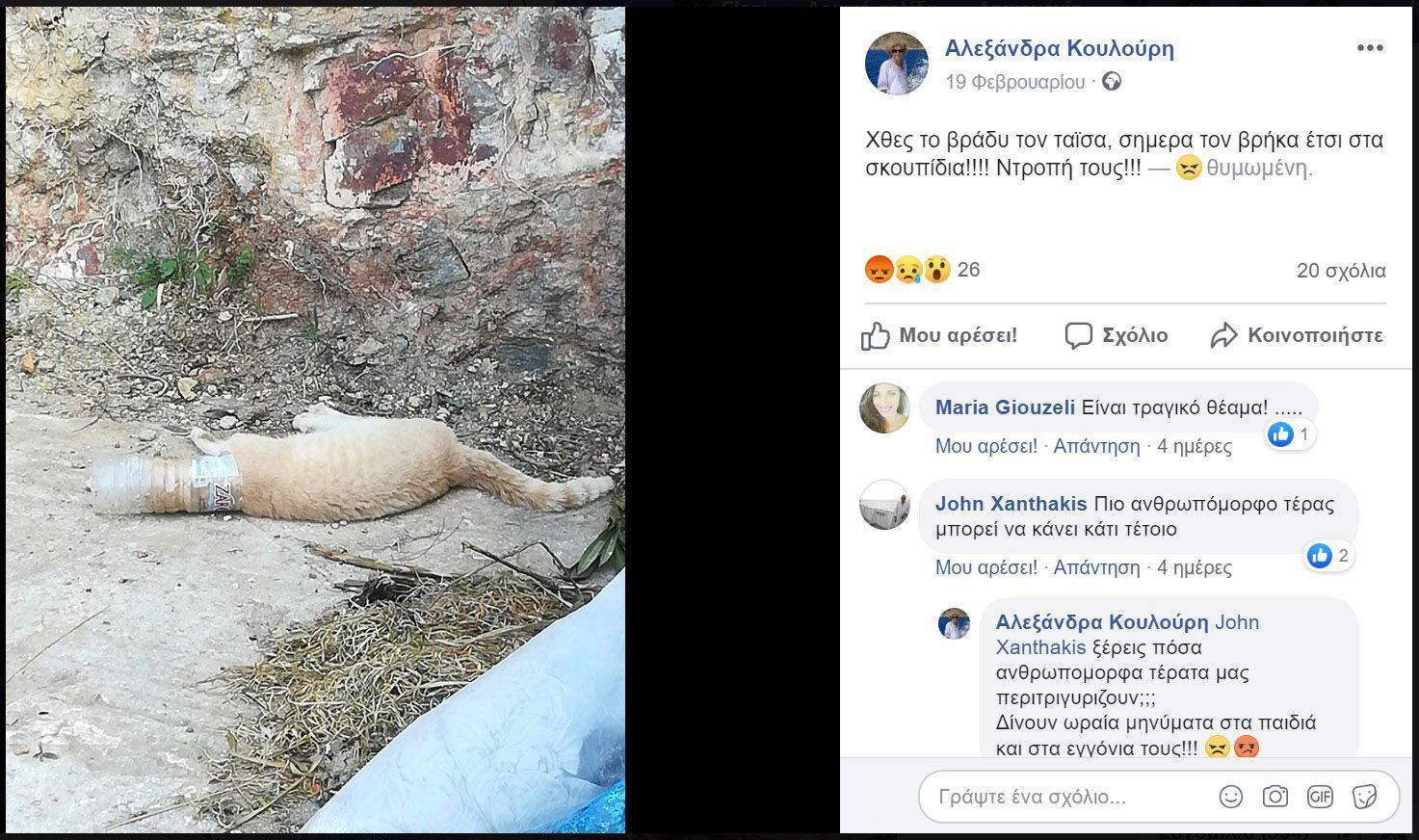 Γάτα νεκρή σφηνωμένη σε πλαστικό μπουκάλι στη Σίφνο 1 SifnosGataMpoukali 19 2 2020 2