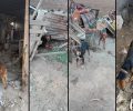 Θεσσαλονίκη: Κατήγγειλαν κυνηγό που κακοποιεί δεκάδες σκυλιά και δήλωσε ότι αυτό είναι το μεράκι του! (Βίντεο)
