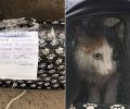 Αθήνα: Εγκατέλειψε γάτα χωρίς τροφή και νερό αφήνοντας σημείωμα για το πόσο επικίνδυνη είναι (βίντεο)