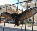 Κατακρίνει η Εταιρία Προστασίας Περιβάλλοντος Καστοριάς αυτόν που κρέμασε τον νεκρό μπούφο για να κάνει χαβαλέ