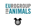 To «Dogs' Voice» είναι επίσημα μέλος του Eurogroup for Animals