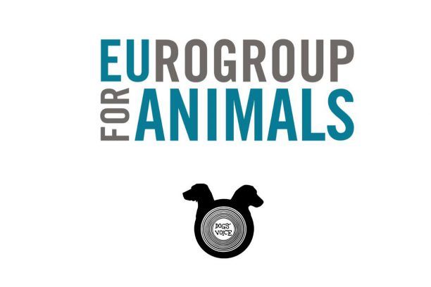 To «Dogs' Voice» είναι επίσημα μέλος του Eurogroup for Animals