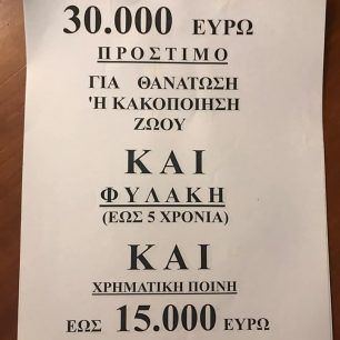 Θεσσαλονίκη: Πολλές γάτες νεκρές από φόλες στου Χαριλάου 4 HarilaouDilitiriasmenesGates14 2 2020 5
