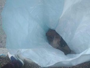 Λέσβος: Έκλεισε σε τσουβάλι και πέταξε στο Πλωμάρι 9 νεογέννητα κουταβάκια