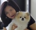 Π.Κ.Σ.: Λανθασμένο το συμπέρασμα ότι σκύλος στο Χονγκ Κονγκ πέθανε απ’ τον νέο κορονοϊό