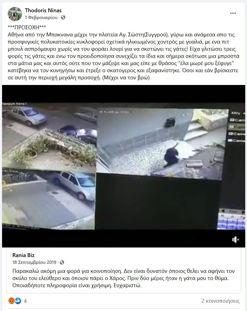 Αναζητούν τον άνδρα που αφήνει σκοπίμως τον σκύλο του να σκοτώνει γάτες και στον Υμηττό Αττικής (βίντεο) 2 ThodorisNinas1 2 2020