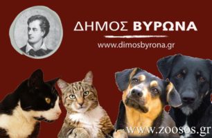 Πλατφόρμα καταγραφής των οικόσιτων γατιών και σκύλων δημιούργησε ο Δήμος Βύρωνα