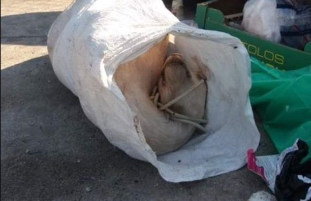 Κέρκυρα: Βρήκε νεκρό σκύλο σε τσουβάλι με θηλιά στον λαιμό από καλώδιο