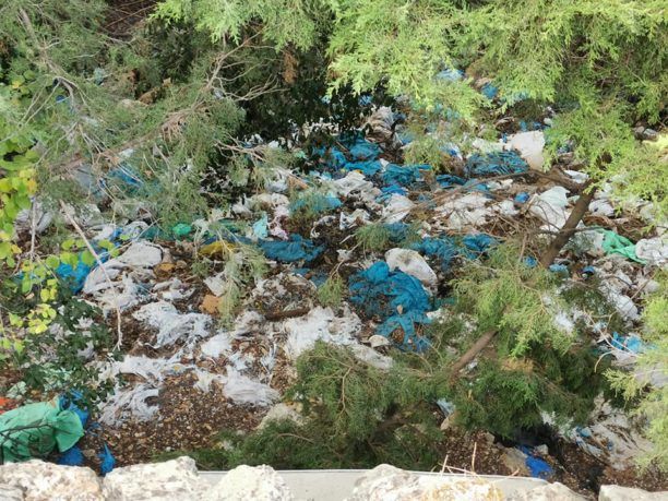 Κως: Τσουβάλια με σκουπίδια και νεκρά ζώα πεταμένα κοντά στις Χαϊχούτες